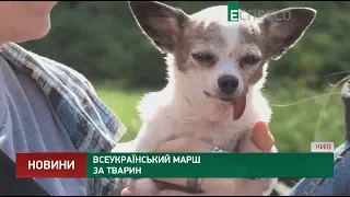 Всеукраинский марш за животных