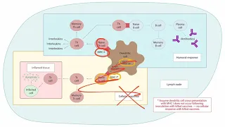 Vaccinations for the USMLE Step 1