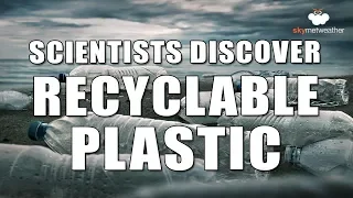 A new type of plastic is discovered, and this can be recycled forever | Skymet Weather