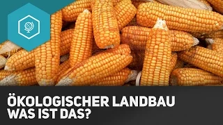 Was ist ökologischer Landbau? - Landwirtschaft in Industrieländern 5