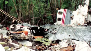 Lauda flight 004 Air crash investigation￼