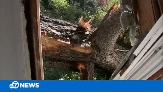 Major cleanup underway in San Mateo County after trees topple on cars, homes, powerlines