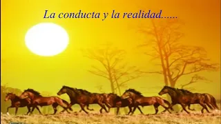 Watchman Nee * La conducta y la Realidad