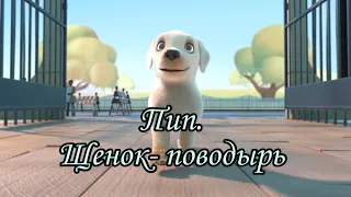 Щенок-поводырь Пип.