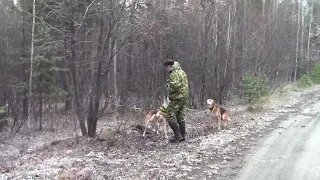 Ночью пролетал первый снег.