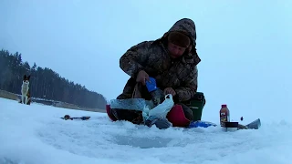 Плотва возле берега зимой на безмотылку.