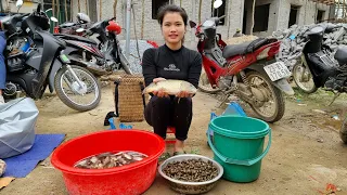 Release pond: Harvest (Fish, Shrimp, Snail) Bring to market to sell - Village life | Trieu Thi Thuy