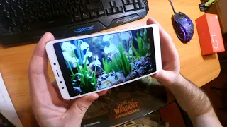 Подробный обзор Xiaomi Redmi 5 для обычного пользователя