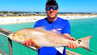 Saltwater Pier Fishing - Cooking Whatever We Catch!