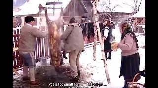 Rituals - Bucovina Region, RO, Europe -  ”Pig slaughter” and ”Pomana” Christmas