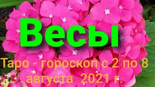 Весы Таро - гороскоп с 2 по 8 августа  2021 г.