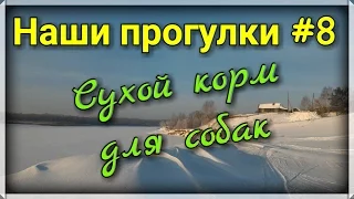 Наши прогулки #8. Сухой корм для собак "Дилли". Кормление собаки.