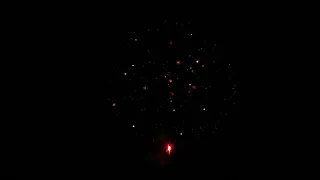 Maxsem Fireworks MC175 100