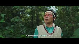 Amazonía 2.0: La película