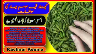 Kachnar Keema | Keema kachnar Recipe |Orchid Tree Vegetable  | Kachnar keema by Dil se fooducker