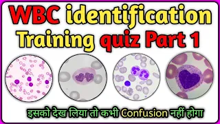 🔴White Blood cells identification quiz Part 1✅||WBC identification quiz||WBC identification