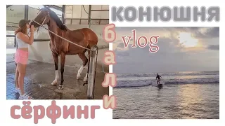 День из жизни конника на Бали 🐴🌴 Сёрфинг/Jatiluwih Rice Terrace 🌾