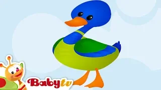 Duck | Animal Sounds and Names for Kids & Toddlers | BabyTV