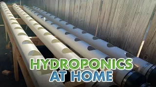 Hydroponics at Home