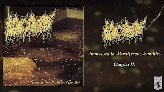 Morgue Tar - Immersed In Mortiferous Enmities FULL ALBUM (2022 - Goregrind / D-Beat)