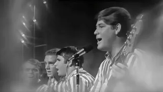 The Beach Boys -- The TAMI Show 1964 -- Full Live Show -- [ remastered, 60FPS, 4K ]