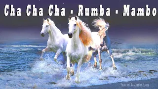 (Full HD) Instrumental Music | Cha Cha Cha | Rumba | Mambo