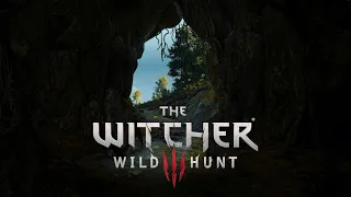 witcher 3 # 10 серия