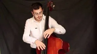 George Mraz bass solo on 'Beautiful Love', performed by Rafael Jerjen