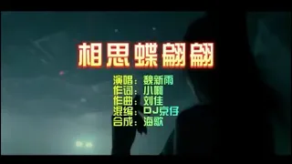 魏新雨 《相思蝶翩翩》 DJ京仔版 KTV 导唱字幕 （备有伴奏视频）