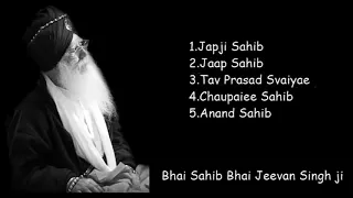 Bhai Sahib Bhai Jeevan Singh Ji - FULL NITNEM