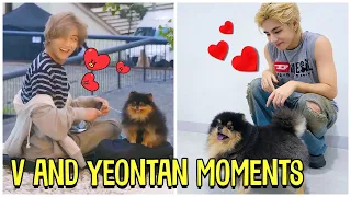 BTS V And His Dog Yeontan Cute Moments (Feat. Rocky )