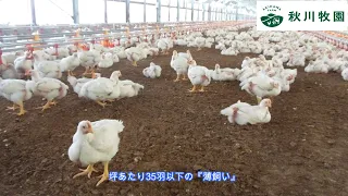 【東都生協】秋川牧園の若鶏