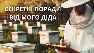 СЕКРЕТИ УСПІШНОГО РОЗМНОЖЕННЯ БДЖІЛ НА ВЕСНІ: 4 КРОКИ. ЯК ПІДТРИМАТИ РОЗМНОЖЕННЯ ВАШИХ СІМЕЙ?