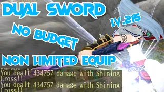Dual Sword Build 215! (No budget) | Toram Online