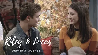 Riley & Lucas +Maya | Drivers License
