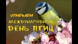 Отмечаем Международный День птиц. 03.04.2018