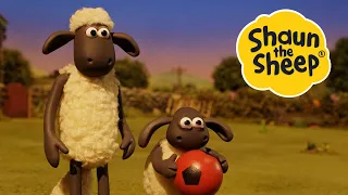 Dodgy Lodger / Timmy and the Dragon | 2 x Episodes S5 | Shaun the Sheep