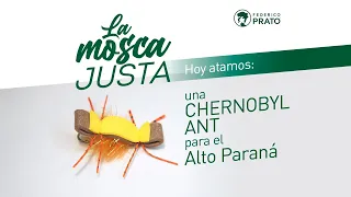 La Mosca Justa: Chernobyl Ant para pescar pacú y pirá pitá en el Alto Paraná.