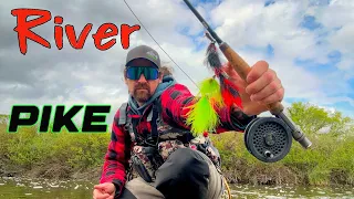 Can't Catch Pike Fly Fishing? Try This Method!