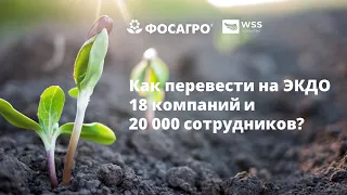 Как перевести на ЭКДО 18 компаний и 20 000 сотрудников?