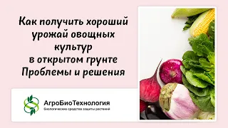 Вебинар "Как получить хороший урожай овощных культур в открытом грунте.  Проблемы и решения"