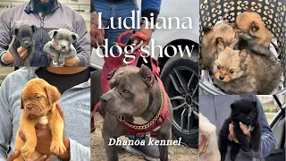 Ludhiana Dog Show 2024| ਮੀਂਹ ਕਾਰਨ ਸ਼ੋਅ ਵਿਗੜ ਗਿਆ | बारिश की वजह से हुआ शो ख़राब | German shepherd 🔥|