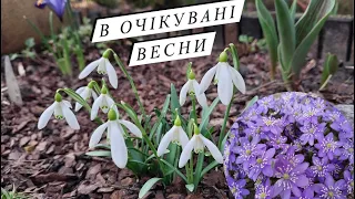 Останій день Зими. В очікувані Весни.