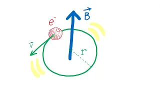 Esercizio sul moto di una particella carica in un campo magnetico