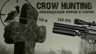 Отстрел Ворон и Сорок с PCP. Crow Hunting 2022. Кроухантинг. Jack Hunter.