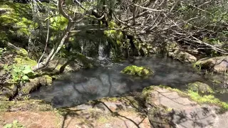 Catherine creek and coyote wall