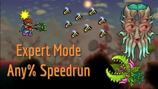 Expert Moon Lord in 1:29:11 - Glitched Random Seed Speedrun [1.4.1.1 WR]