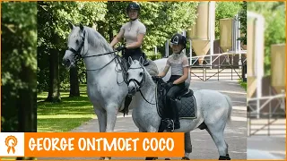 Horse Event: OMG een mini George?! | PaardenpraatTV
