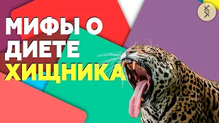 Диета ХИЩНИКА: если есть ТОЛЬКО МЯСО...