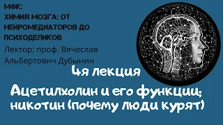 Лекция 4 Вячеслав Дубынин «ХИМИЯ» МОЗГА  ОТ НЕЙРОМЕДИАТОРОВ ДО ПСИХОДЕЛИКОВ Ацетилхолин и его функци